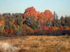 Landscapes of Ontario Province (DSCN1127.jpg)