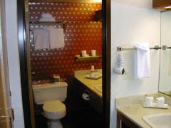 Bathroom  (DSCN1162B.jpg)