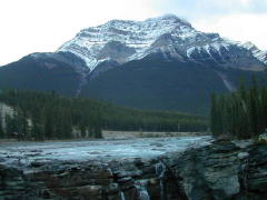 Jasper National Park stop (DSCN1177B.jpg)