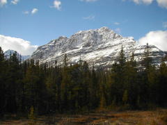 more Canadian Rockies (DSCN1214.jpg)