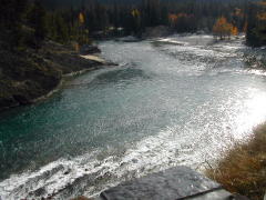 Looking downstream on Banff's Bow River  (DSCN1209B.jpg)