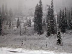 View from the dome car (DSCN1234B.jpg)