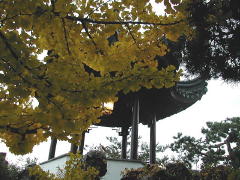 Dr. Sun Yat-Sen Classical Chinese Garden (DSCN1277.jpg)