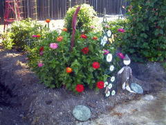 Garden-00/August13/Zinnias.jpg