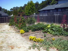 Garden-00/July21/OverView.jpg