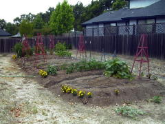 Garden-00/June17/Overview.jpg