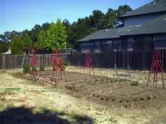 Garden-00/May20/Overview.jpg