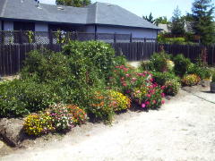 Garden-01/August/NE-view.jpg