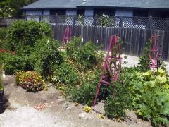 Garden-01/August/NW-view.jpg