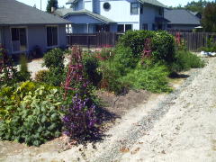 Garden-01/August/SW-view.jpg