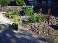 Garden-01/June/10Jun01-A.jpg