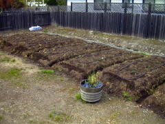 Garden-01/March/25Mar01-B.jpg