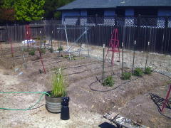 Garden-01/May/01May01.jpg