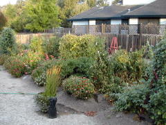 Garden-01/October/Overview.jpg