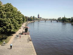 View of Main River (not Rhine) (DSCN0733.jpg)