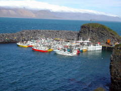 Small fishing harbor (DSCN1656.jpg)