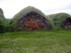 Rear view if sod houses (DSCN1668.jpg)