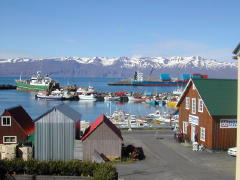 The clear day added to Husavik's magic (DSCN1709.jpg)