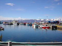 Husavik is based on fishing (DSCN1710.jpg)