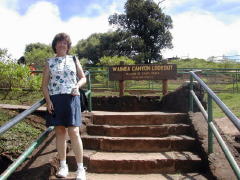 Waimea Canyon Overlook (DSCN0948.jpg)