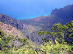 Waimea Canyon & Ocean (DSCN0955.jpg)