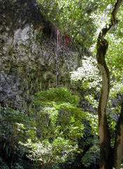 Fern Grotto Falls (DSCN1010.jpg)