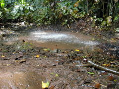 Small stream splash pool (DSCN1021.jpg)